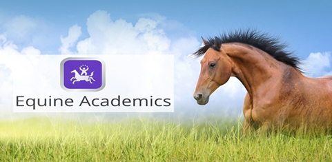 Equine Academics